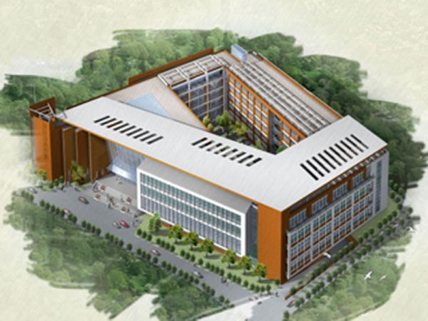 公开信息按发布时间滚动